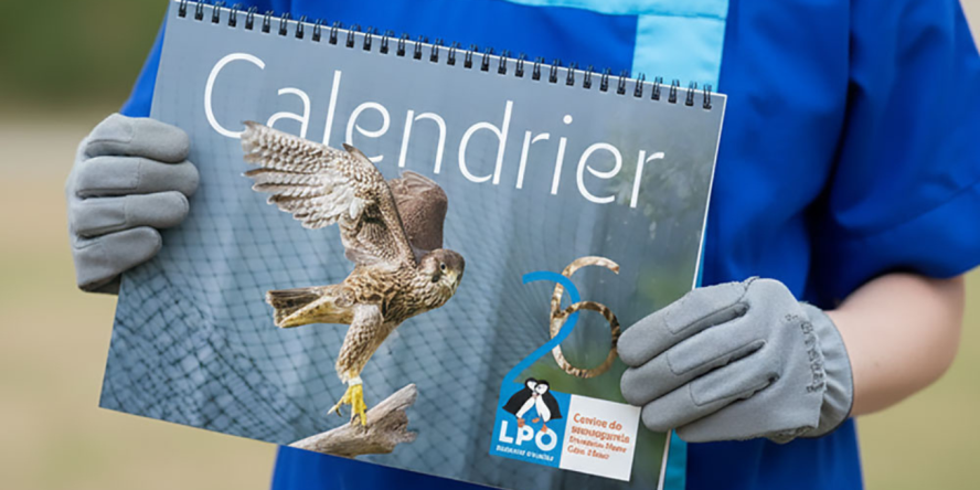 Calendrier 2026 du Centre de sauvegarde - LPO PACA